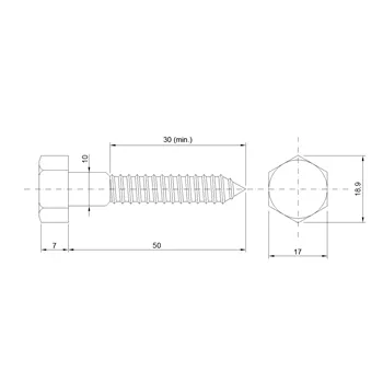 DIN 571 Zn 10,0x 50 vrut 6HR hlava