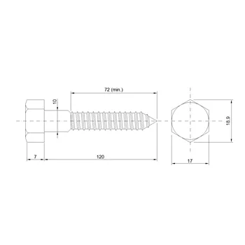 DIN 571 Zn 10,0x120 vrut 6HR hlava