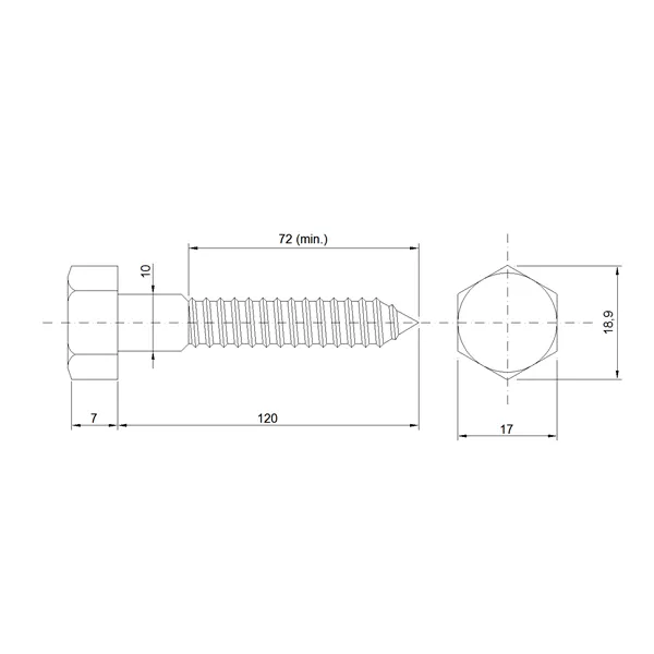 DIN 571 Zn 10,0x120 vrut 6HR hlava