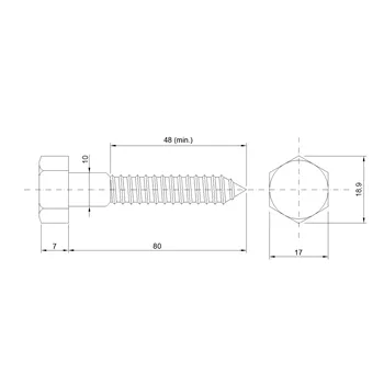 DIN 571 Zn 10,0x 80 vrut 6HR hlava