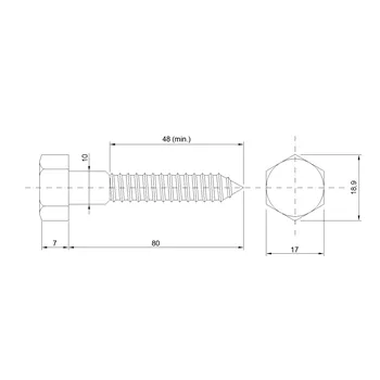 DIN 571 A2 10,0x 80 vrut 6Hr hlava nerez