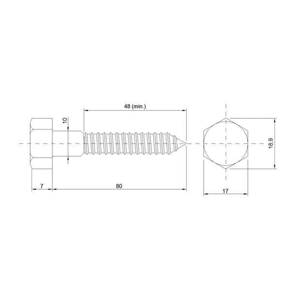 DIN 571 A2 10,0x 80 vrut 6Hr hlava nerez