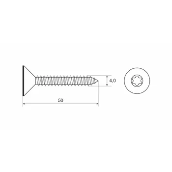 DIN 7997 Zn 4,0x 50 TORX vrut celý závit zápustná hlava T20