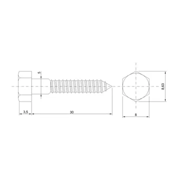 DIN 571 Zn 5,0x 30 vrut 6HR hlava