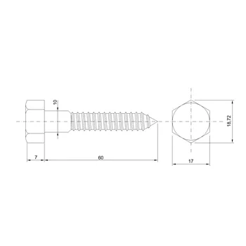 DIN 571 Zn 10,0x 60 vrut 6HR hlava