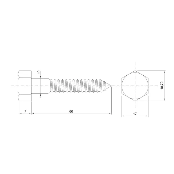 DIN 571 Zn 10,0x 60 vrut 6HR hlava