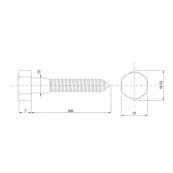 DIN 571 Zn 10,0x200 vrut 6HR hlava