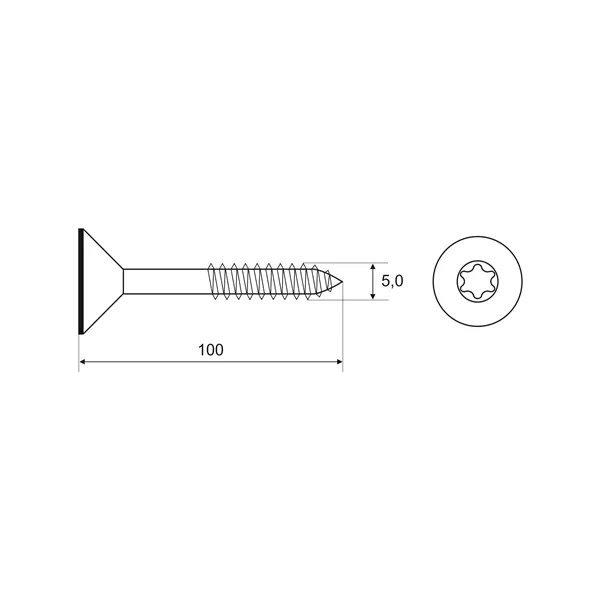 DIN 7997 Zn 5,0x100 TORX vrut částečný závit zápustná hlava T25