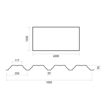 TR 55/250 (1,00mm/š.1000mm) ZM Evolution