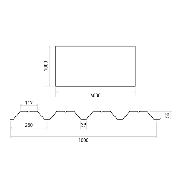 TR 55/250 (1,00mm/š.1000mm) ZM Evolution